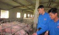 Jóvenes vietnamitas en desarrollo rural 